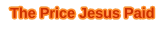 The Price Jesus Paid